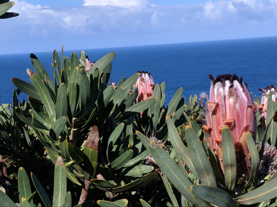 image11