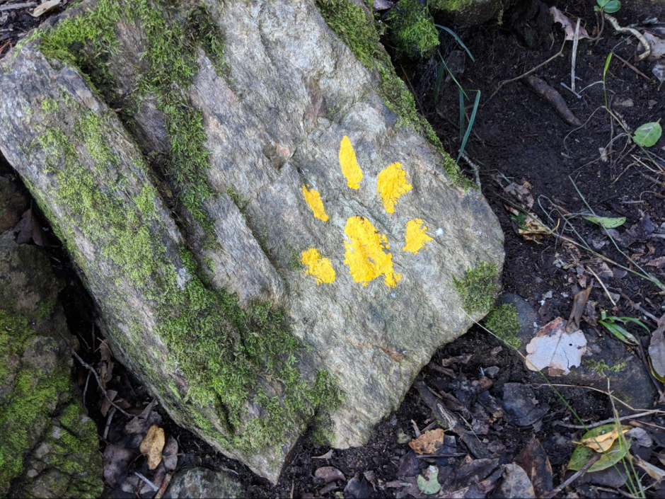 image23