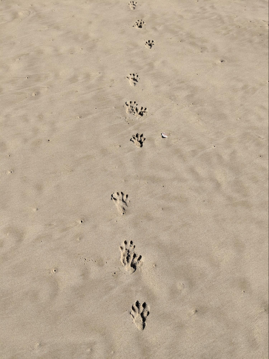 image28